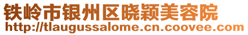 鐵嶺市銀州區曉穎美容院