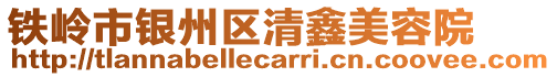 鐵嶺市銀州區清鑫美容院