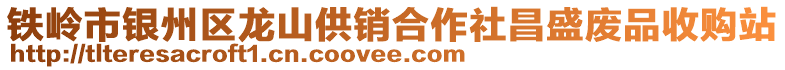 鐵嶺市銀州區(qū)龍山供銷合作社昌盛廢品收購站