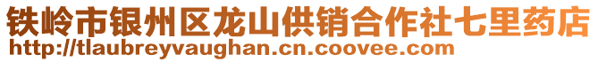 鐵嶺市銀州區(qū)龍山供銷合作社七里藥店