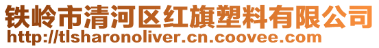 鐵嶺市清河區(qū)紅旗塑料有限公司