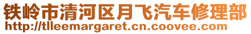 鐵嶺市清河區(qū)月飛汽車修理部