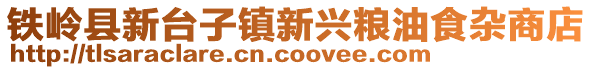 鐵嶺縣新臺子鎮(zhèn)新興糧油食雜商店