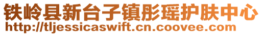 铁岭县新台子镇彤瑶护肤中心