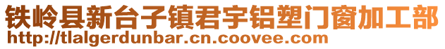 鐵嶺縣新臺子鎮(zhèn)君宇鋁塑門窗加工部