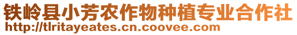 鐵嶺縣小芳農(nóng)作物種植專業(yè)合作社