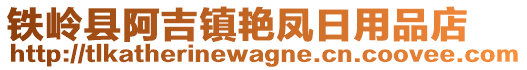 鐵嶺縣阿吉鎮(zhèn)艷鳳日用品店