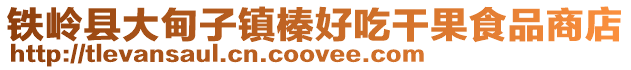 鐵嶺縣大甸子鎮榛好吃干果食品商店