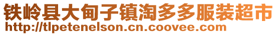 鐵嶺縣大甸子鎮(zhèn)淘多多服裝超市