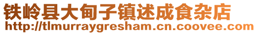 鐵嶺縣大甸子鎮(zhèn)述成食雜店