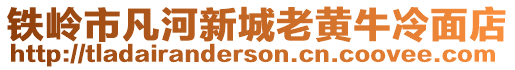 鐵嶺市凡河新城老黃牛冷面店