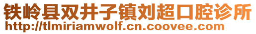 鐵嶺縣雙井子鎮(zhèn)劉超口腔診所