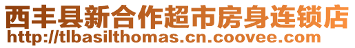 西豐縣新合作超市房身連鎖店