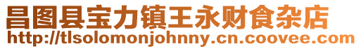 昌圖縣寶力鎮王永財食雜店