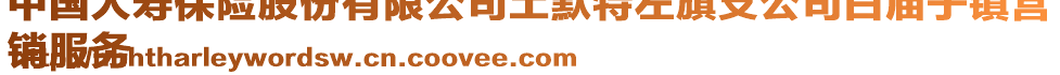 中国人寿保险股份有限公司土默特左旗支公司白庙子镇营
销服务