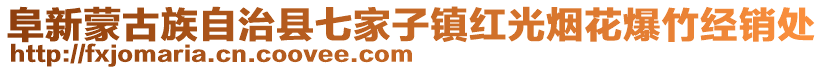 阜新蒙古族自治县七家子镇红光烟花爆竹经销处