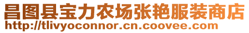 昌圖縣寶力農(nóng)場張艷服裝商店