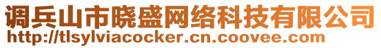 調(diào)兵山市曉盛網(wǎng)絡(luò)科技有限公司