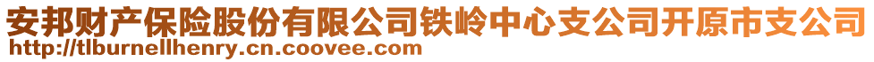 安邦財(cái)產(chǎn)保險(xiǎn)股份有限公司鐵嶺中心支公司開(kāi)原市支公司