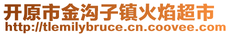 開原市金溝子鎮(zhèn)火焰超市