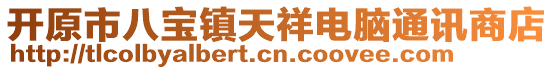 開(kāi)原市八寶鎮(zhèn)天祥電腦通訊商店