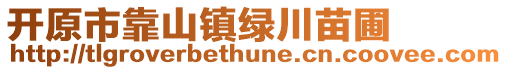 开原市靠山镇绿川苗圃