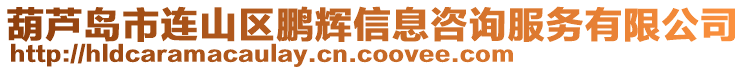 葫蘆島市連山區(qū)鵬輝信息咨詢服務有限公司