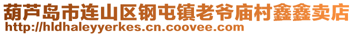 葫蘆島市連山區鋼屯鎮老爺廟村鑫鑫賣店