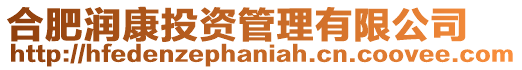 合肥潤康投資管理有限公司