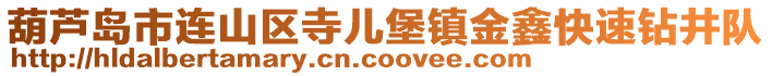 葫蘆島市連山區寺兒堡鎮金鑫快速鉆井隊