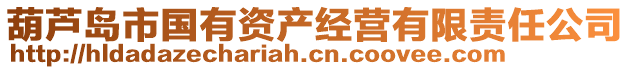 葫蘆島市國有資產(chǎn)經(jīng)營有限責(zé)任公司