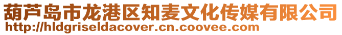 葫蘆島市龍港區知麥文化傳媒有限公司