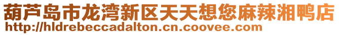 葫蘆島市龍灣新區(qū)天天想您麻辣湘鴨店