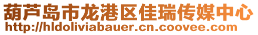 葫蘆島市龍港區(qū)佳瑞傳媒中心