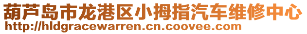 葫蘆島市龍港區(qū)小拇指汽車維修中心