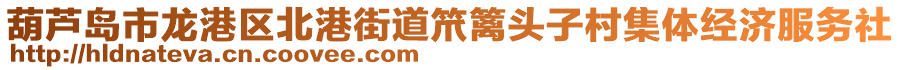 葫蘆島市龍港區(qū)北港街道笊籬頭子村集體經(jīng)濟(jì)服務(wù)社