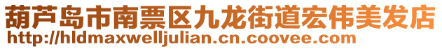 葫蘆島市南票區(qū)九龍街道宏偉美發(fā)店