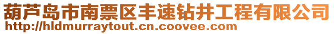 葫蘆島市南票區(qū)豐速鉆井工程有限公司