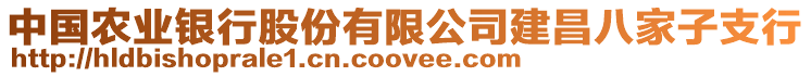 中國農(nóng)業(yè)銀行股份有限公司建昌八家子支行