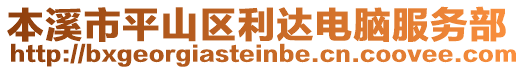 本溪市平山區(qū)利達(dá)電腦服務(wù)部