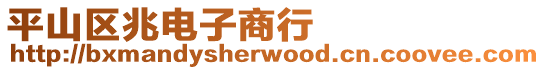 平山區兆電子商行