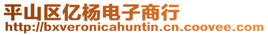 平山區億楊電子商行