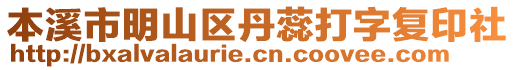 本溪市明山區(qū)丹蕊打字復(fù)印社