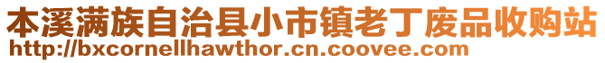 本溪滿族自治縣小市鎮(zhèn)老丁廢品收購站