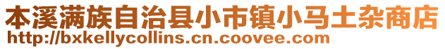 本溪滿族自治縣小市鎮(zhèn)小馬土雜商店