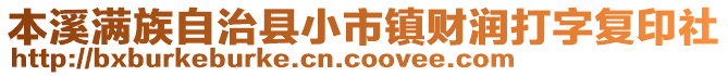 本溪滿族自治縣小市鎮(zhèn)財(cái)潤打字復(fù)印社