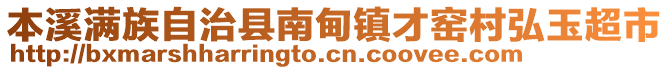 本溪滿族自治縣南甸鎮(zhèn)才窯村弘玉超市