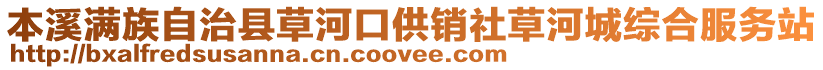 本溪滿族自治縣草河口供銷社草河城綜合服務站