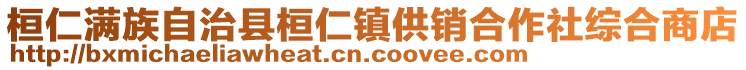 桓仁满族自治县桓仁镇供销合作社综合商店