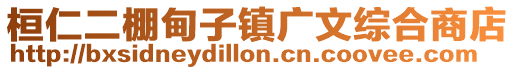 桓仁二棚甸子鎮廣文綜合商店